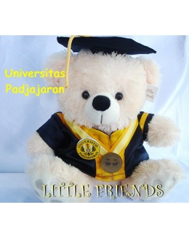 Boneka Wisuda Universitas Padjadjaran - Komputer (30 cm)